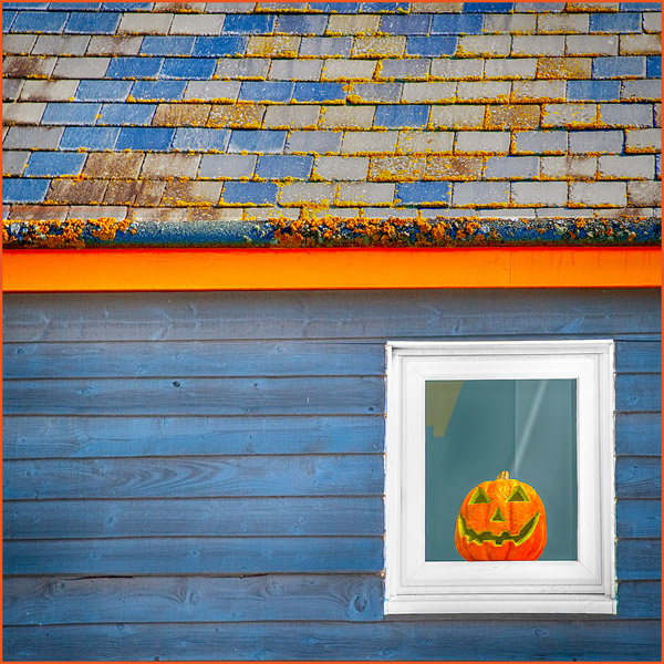 Halloween Window.jpg - For IDPS Print Comp.